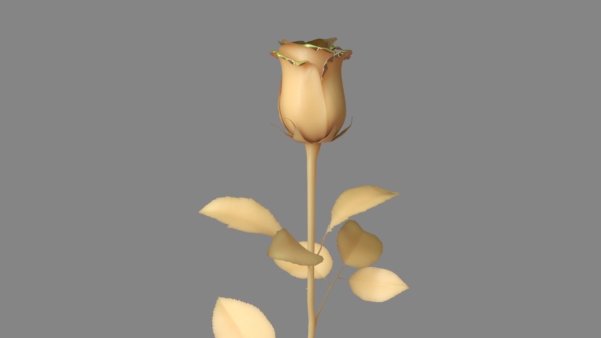 Red Rose 3D model_15