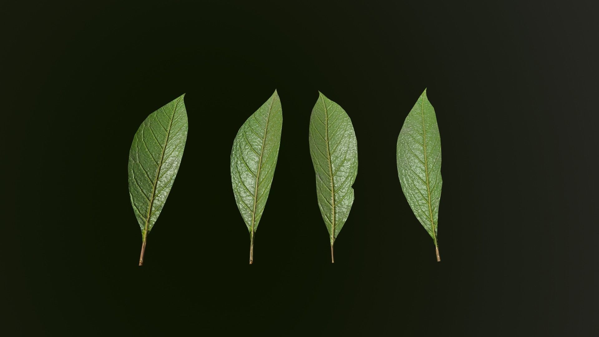 Growing Tree in a shape of a deer 3D model_6