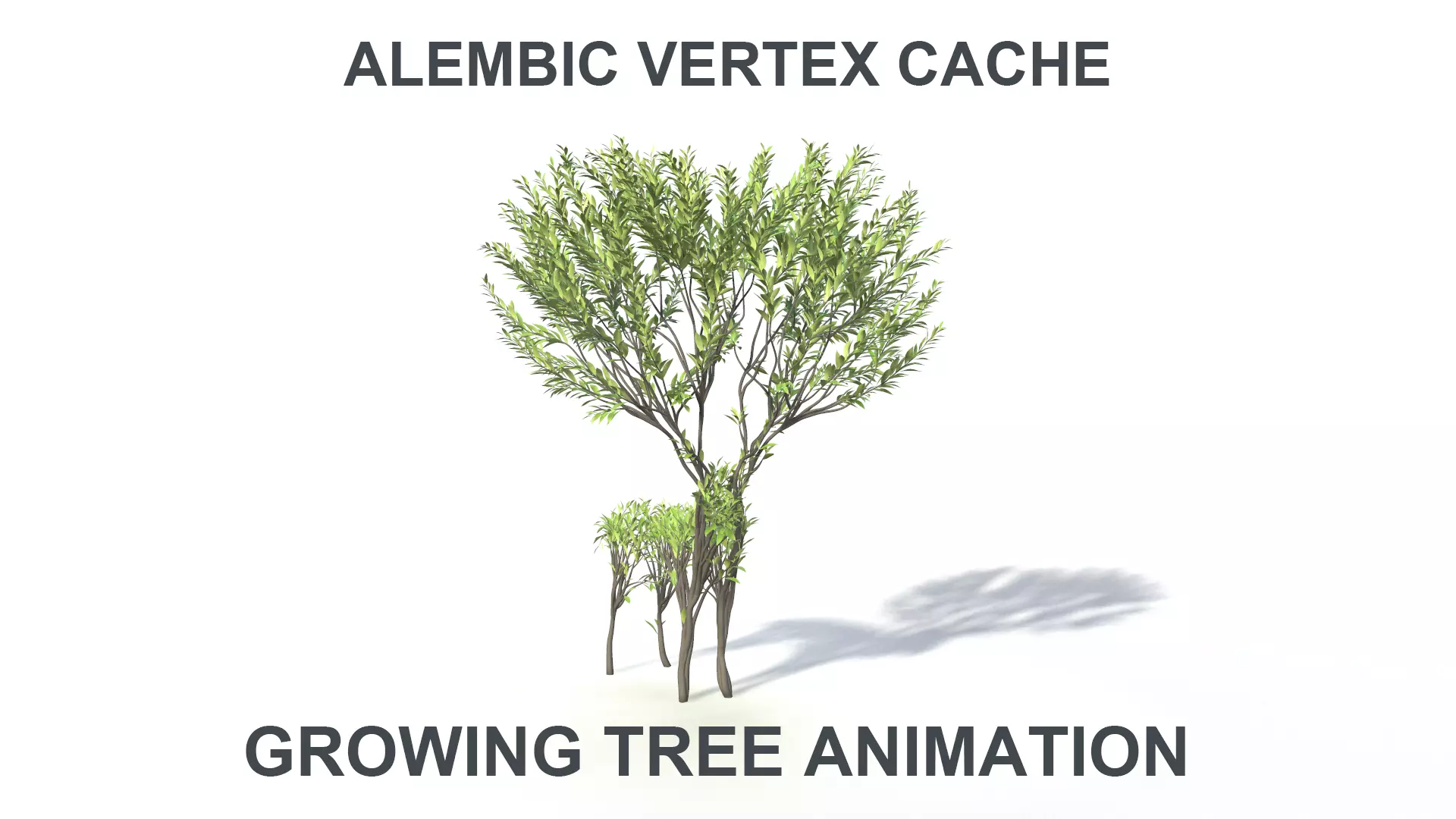 Growing Tree in a shape of a deer 3D model_0