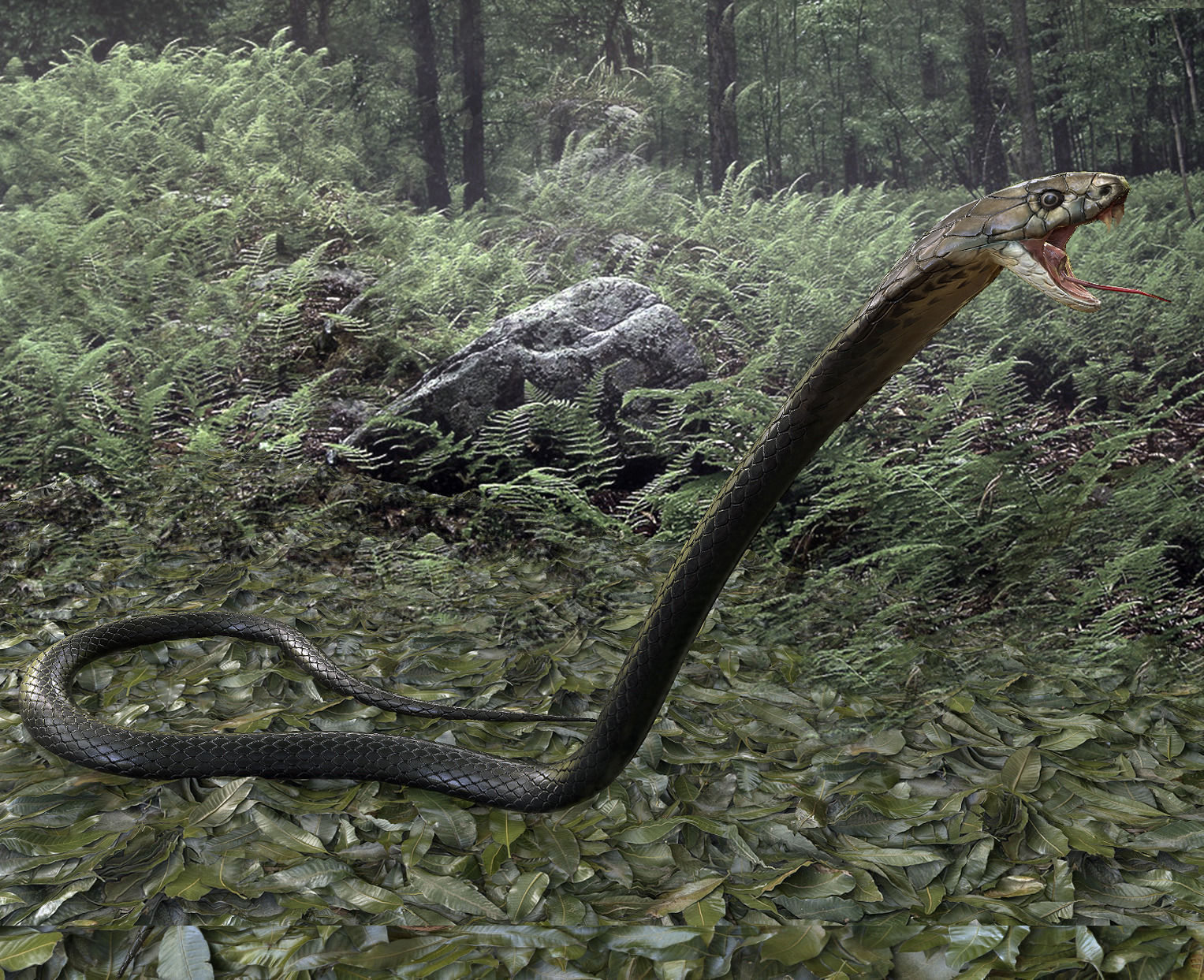 Cobra Rigged  Animated and Textured Low-poly 3D model_2