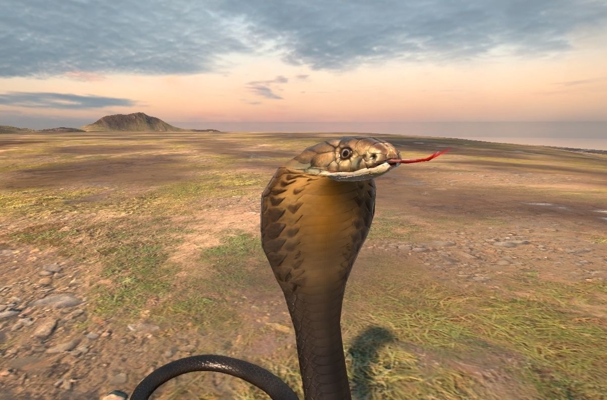 Cobra Rigged  Animated and Textured Low-poly 3D model_5