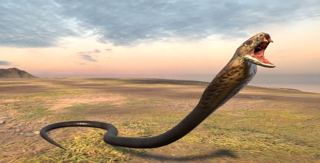 Cobra Rigged  Animated and Textured Low-poly 3D model_7