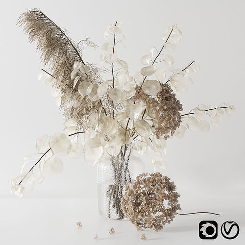 Bouquet with lunaria pampas grass and hydragea 3D model