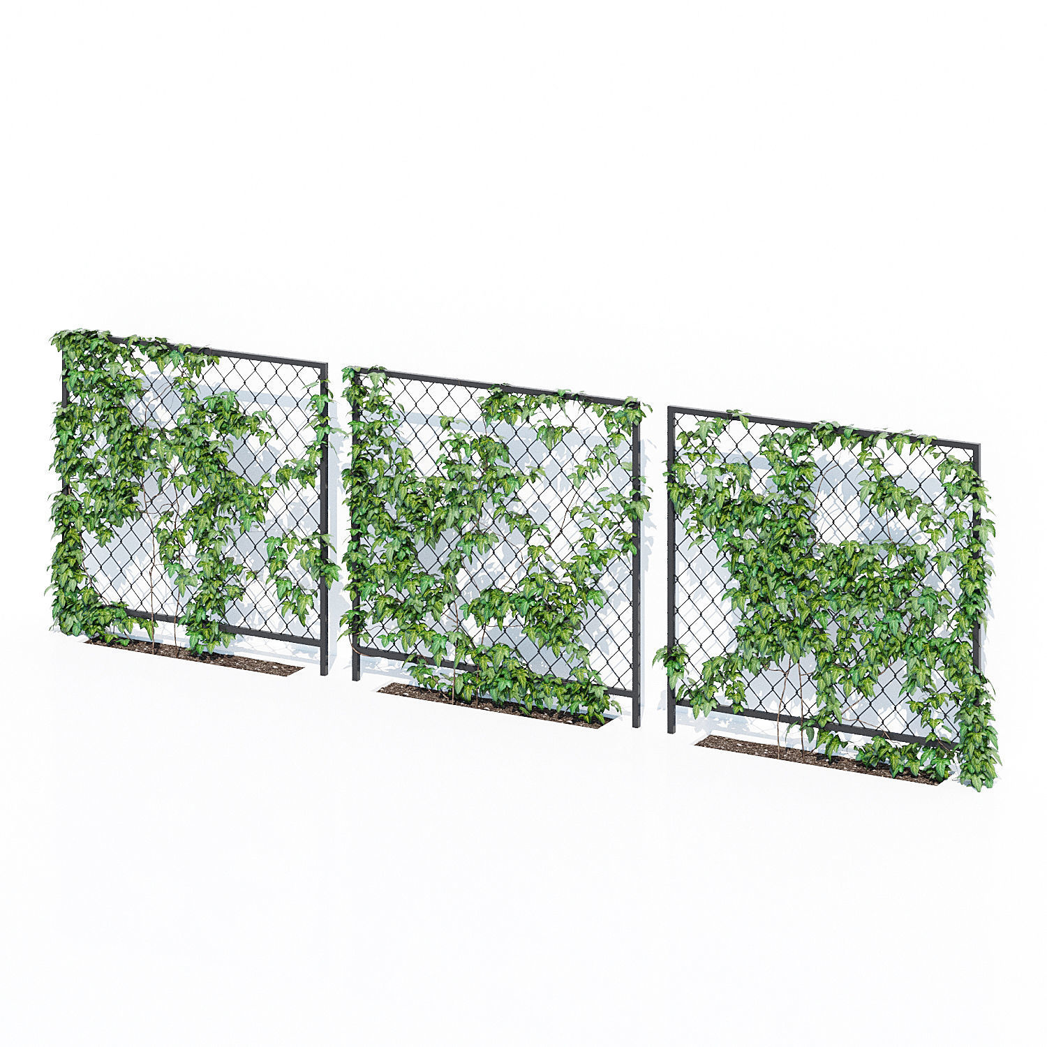 Ivy wall three 3D model_3