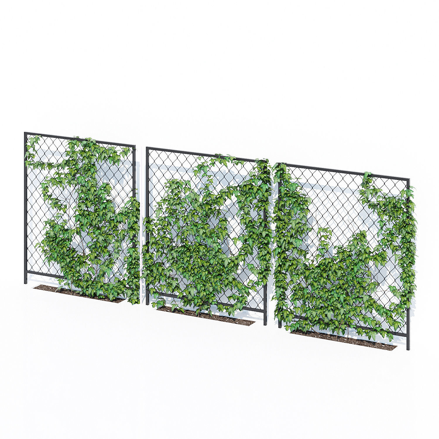 Ivy wall three 3D model_2