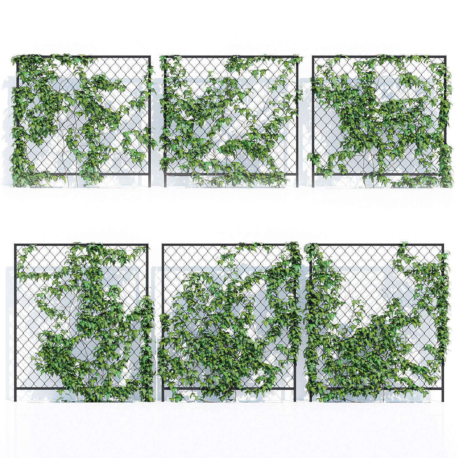 Ivy wall three 3D model_1