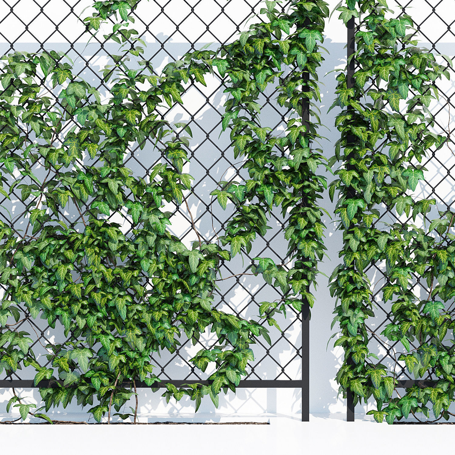 Ivy wall three 3D model_6