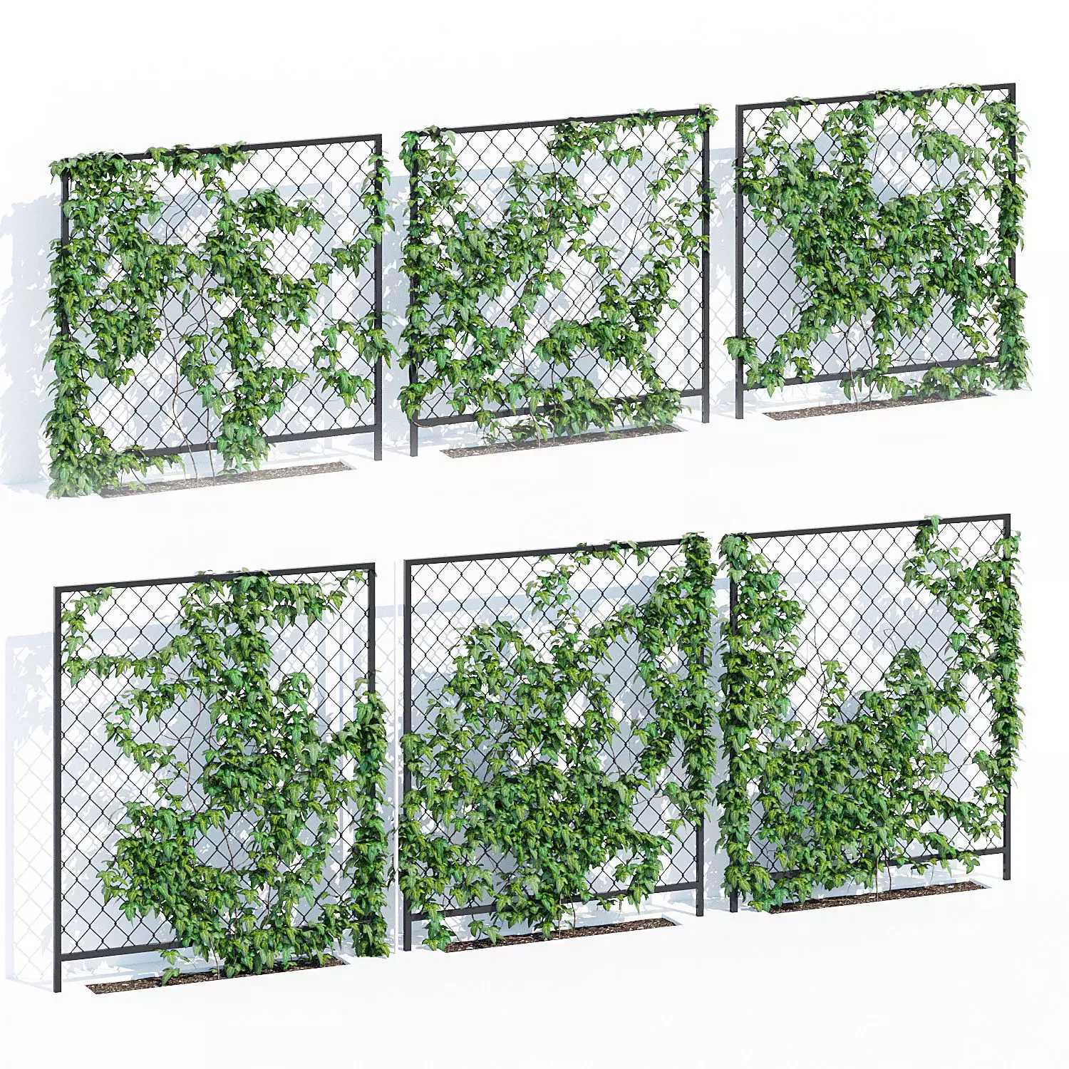 Ivy wall three 3D model_0