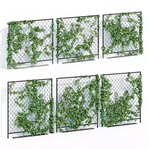 Ivy wall three 3D model