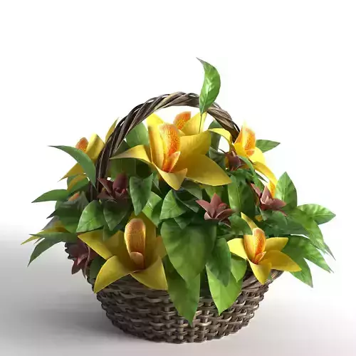 Flowers in basket