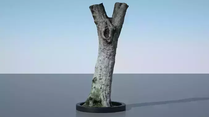 Ultra Realistic Tree Trunk