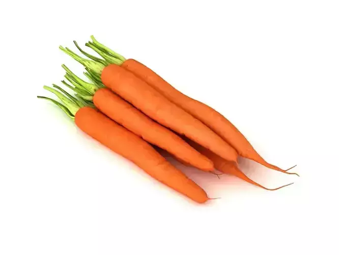 Carrot Vegetable 3D model