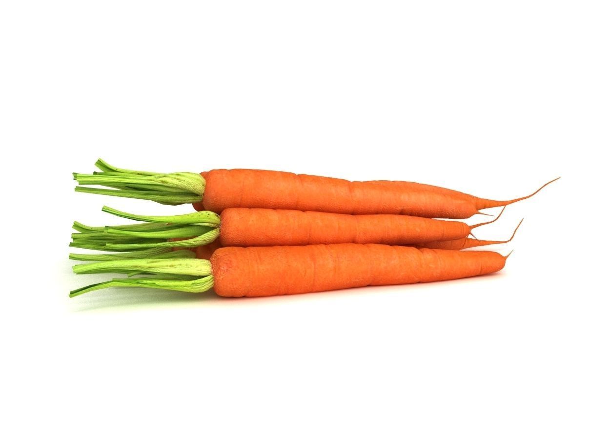 Carrot Vegetable 3D model_1