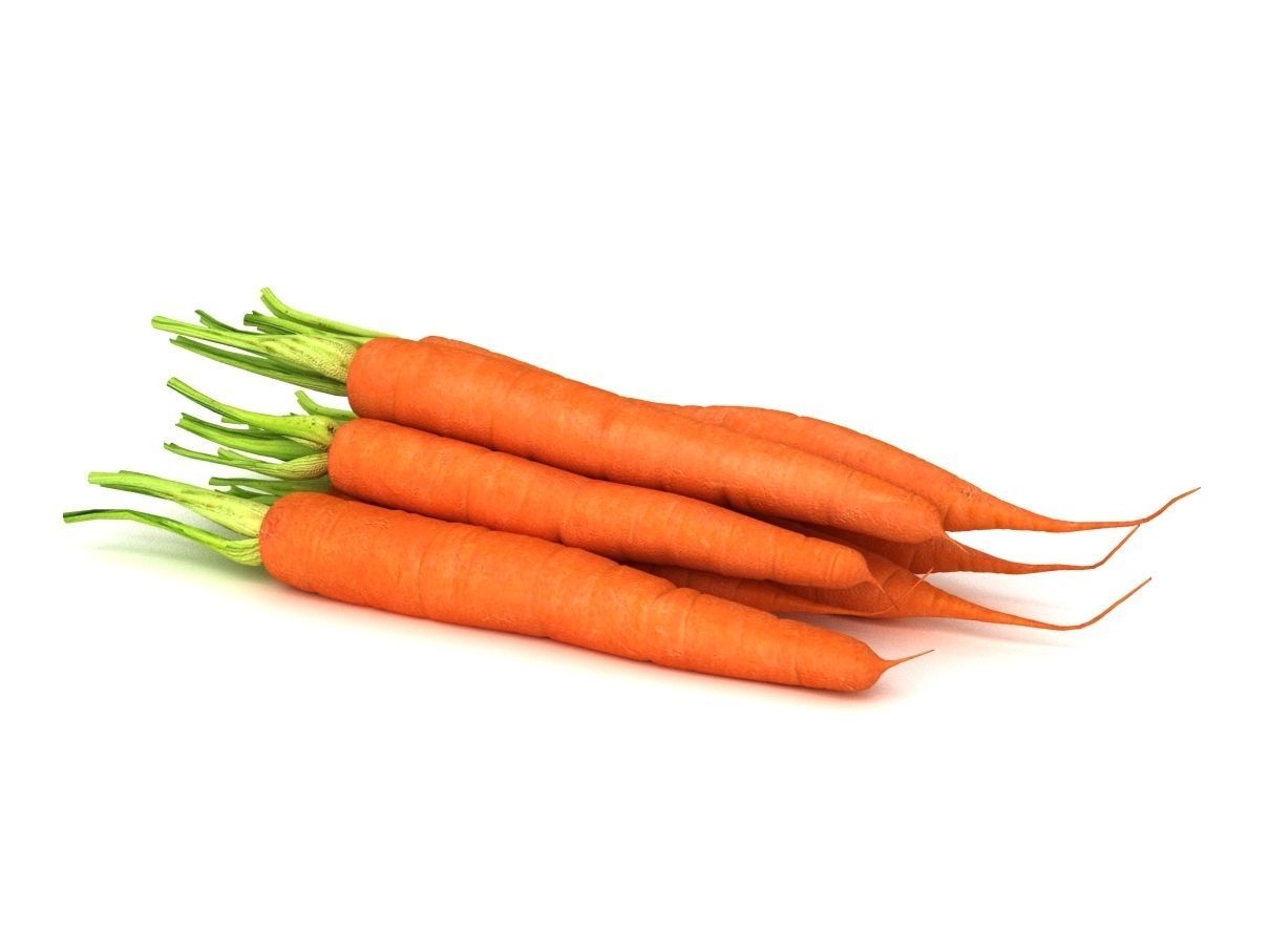 Carrot Vegetable 3D model_2