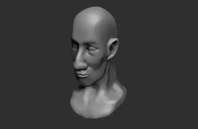 Male head model