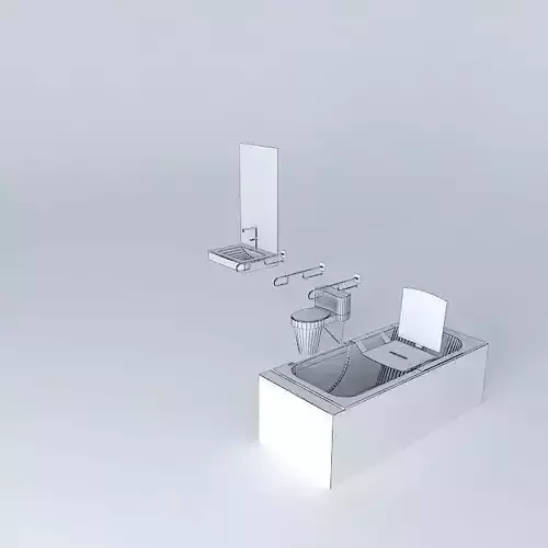 WC for Disabled Person