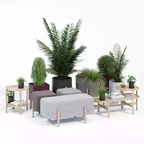 Ashi collection set of potted plants and furniture