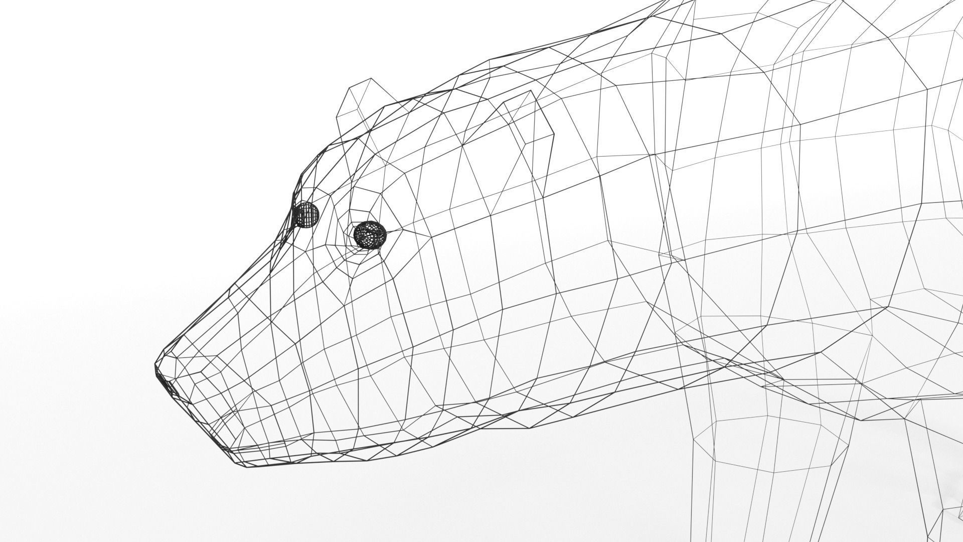 Low Poly Polar Animals Pack 3D Model Collection_19