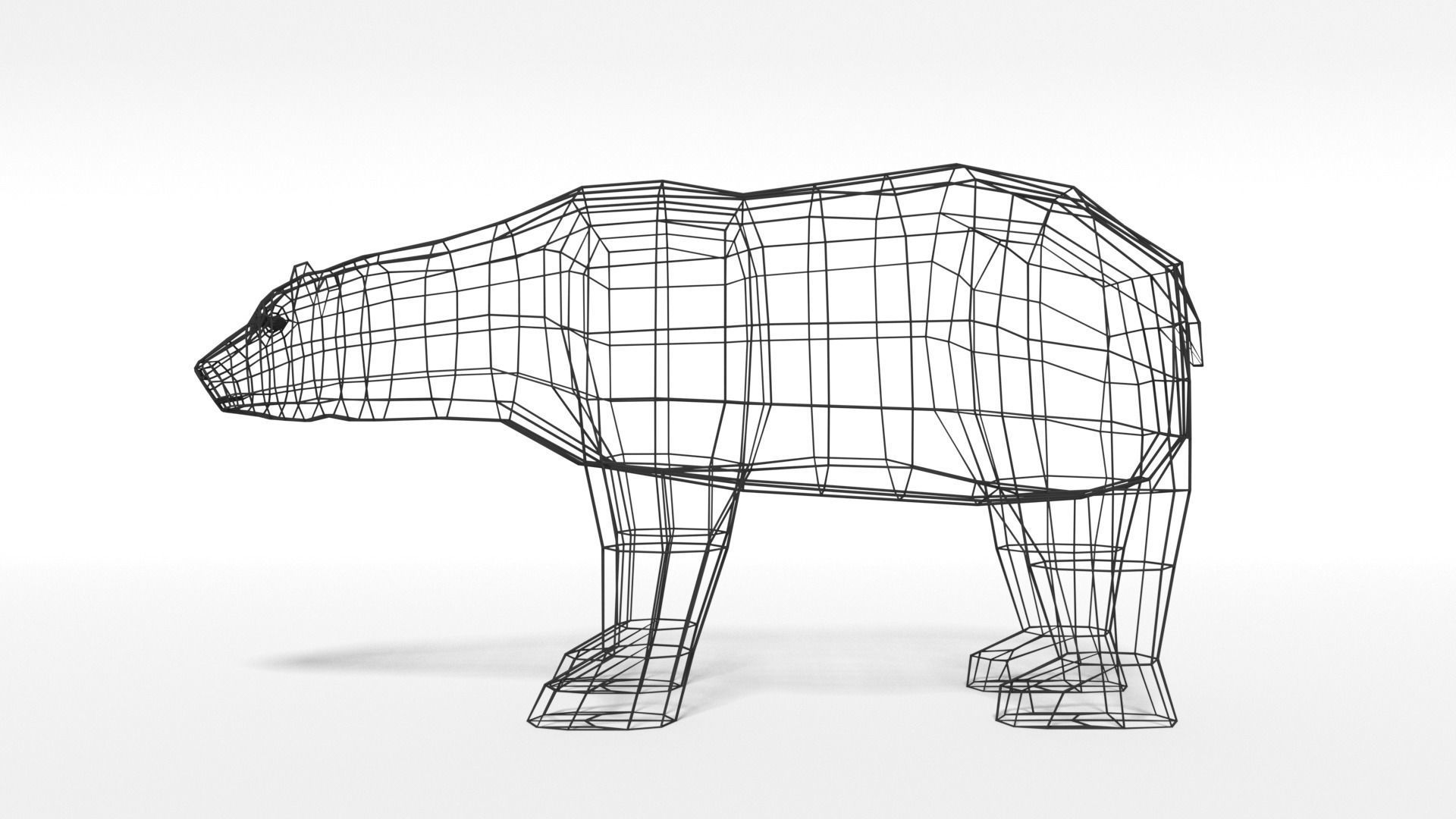 Low Poly Polar Animals Pack 3D Model Collection_14