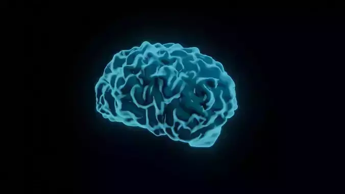 3D Brain - sci fi shader 3D model