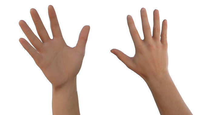 Right Hand - Catrig 3D model