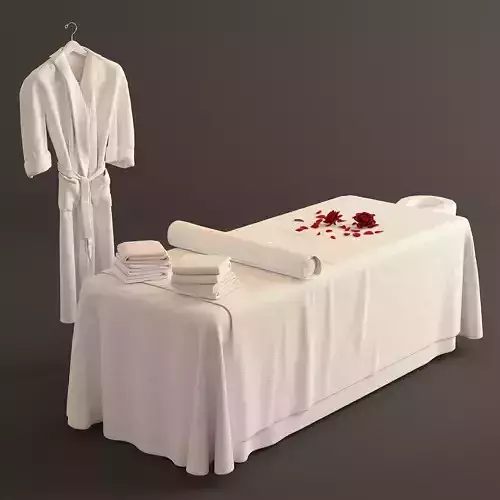 Spa Bed Massage Table 2 3D model