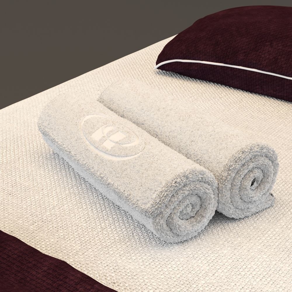 Spa Bed Massage Table 3 3D model_1