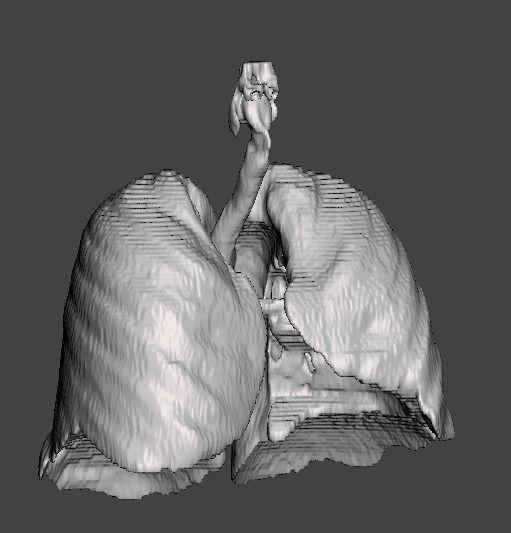 Human Respiratory System 3D print model_3