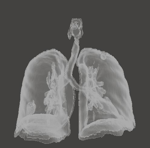 Human Respiratory System 3D print model_1