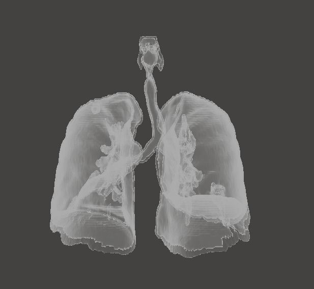 Human Respiratory System 3D print model_4