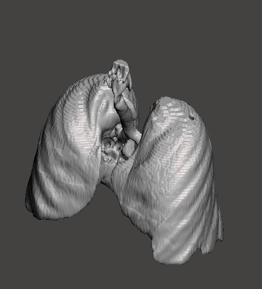 Human Respiratory System 3D print model_2