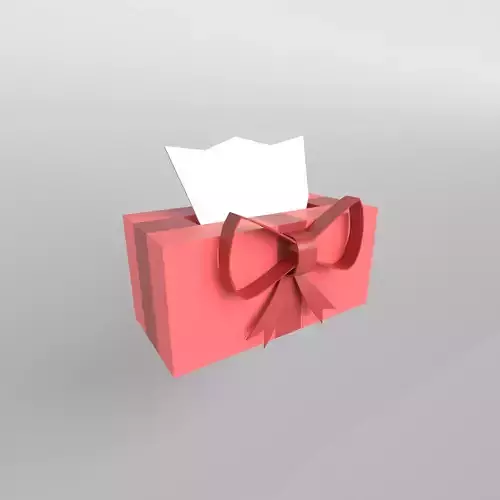 Present Tissue Box v1 004