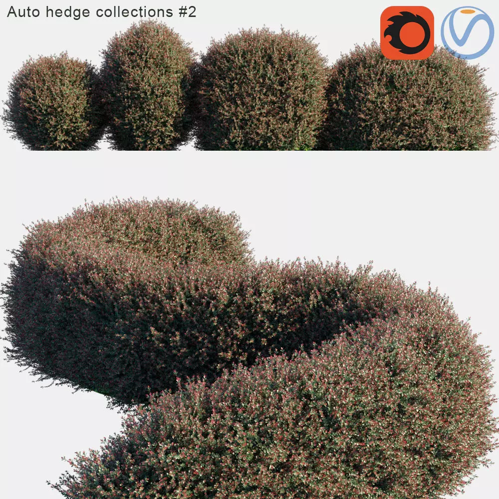 Auto hedge collections 2 3D model_0