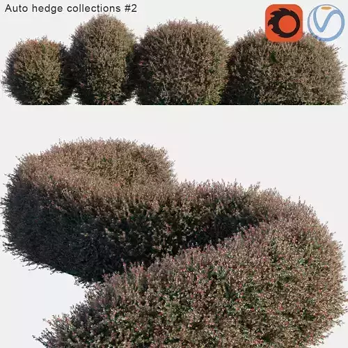 Auto hedge collections 2 3D model