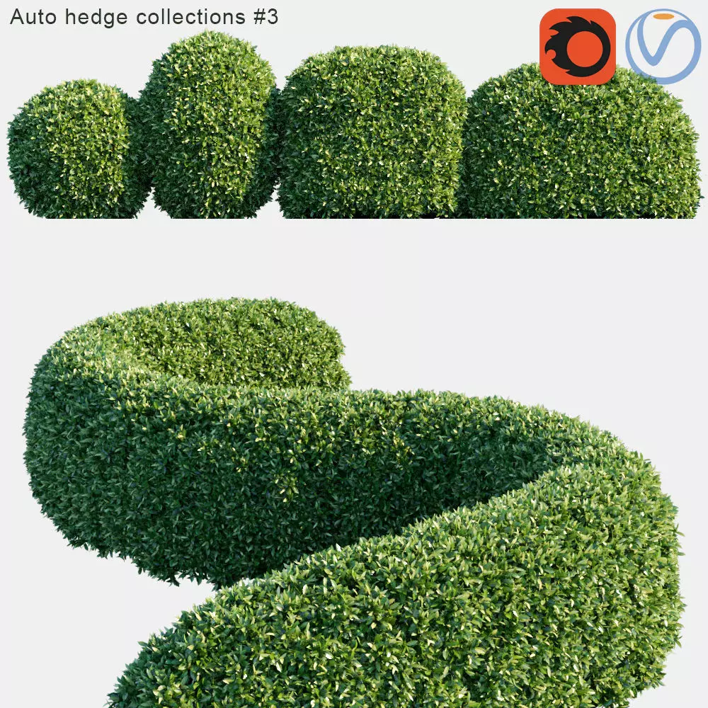 Auto hedge collections 3 3D model_0