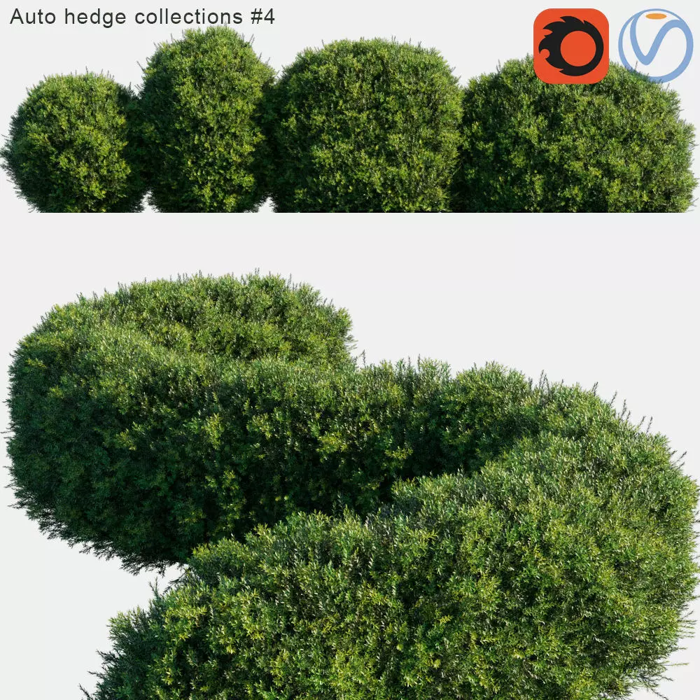 Auto hedge collections 4 3D model_0