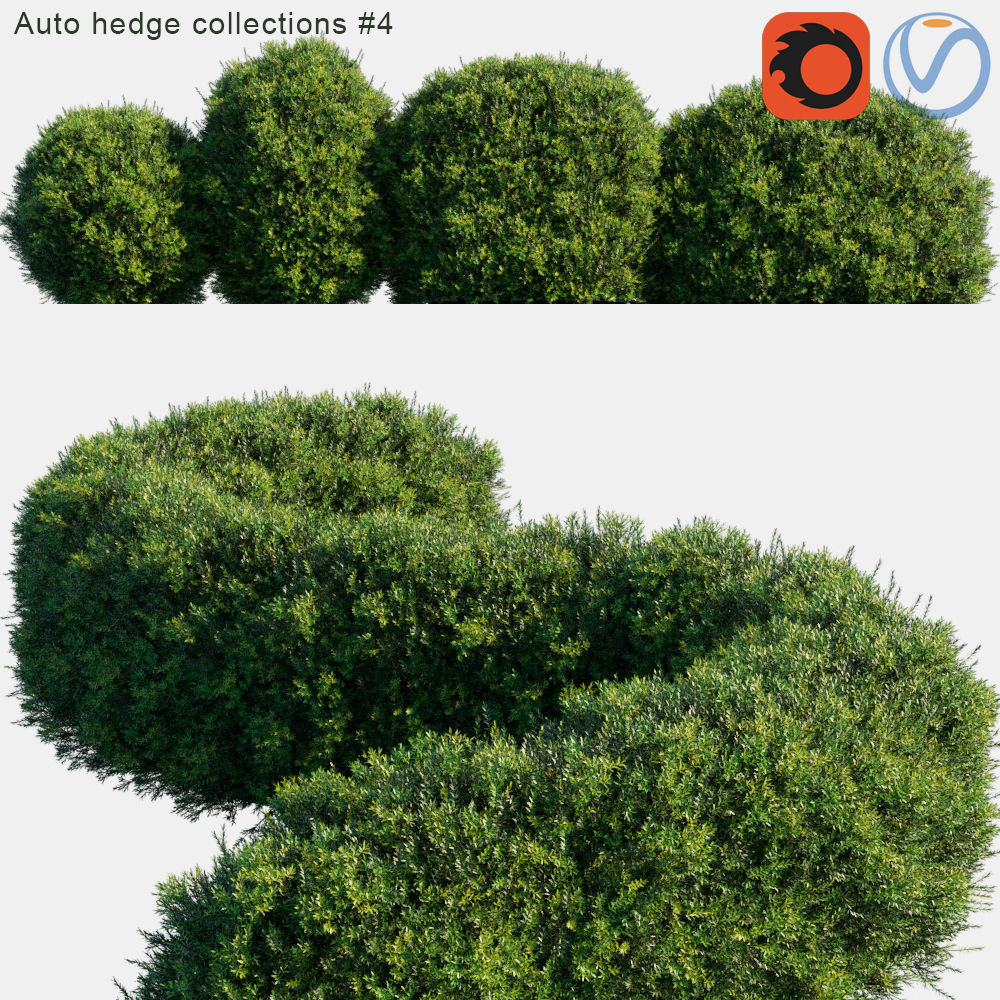 Auto hedge collections 4