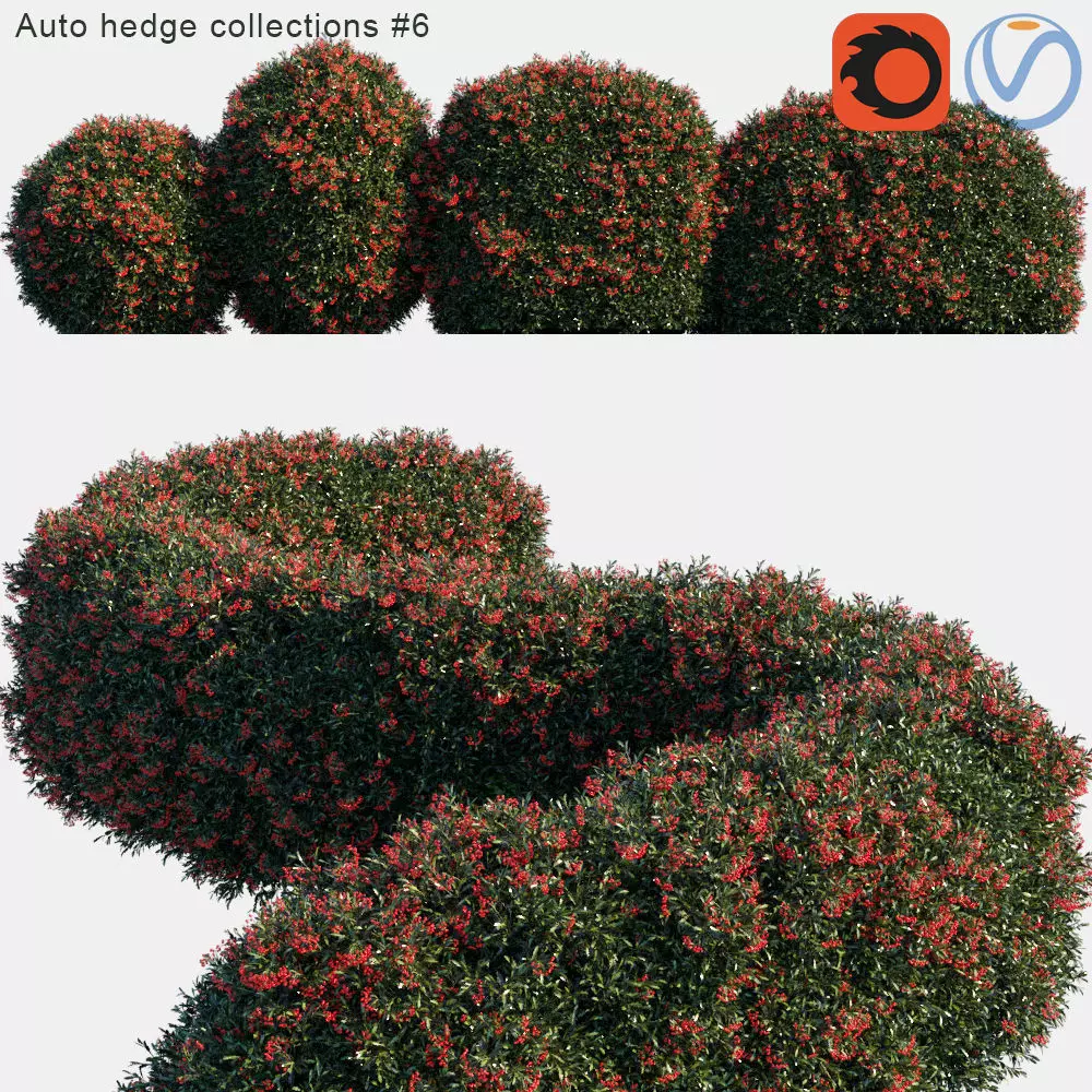 Auto hedge collections 6 3D model_0