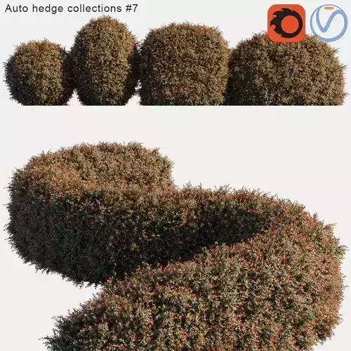 Auto hedge collections 7 3D model