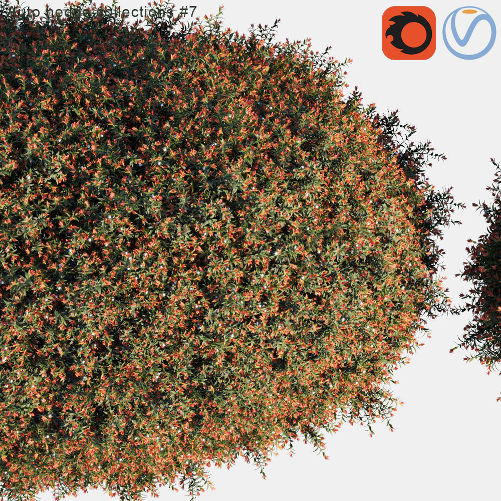 Auto hedge collections 7 3D model_1