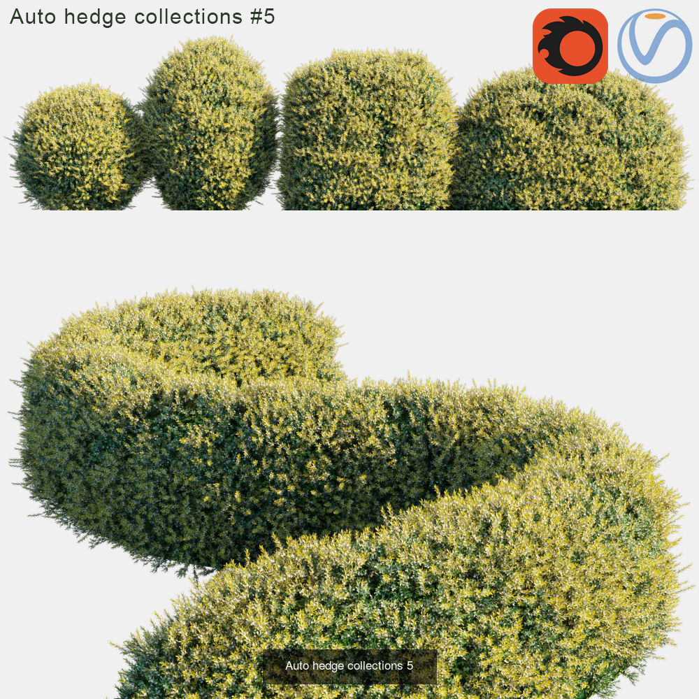 Auto hedge 3D Model Collection_5