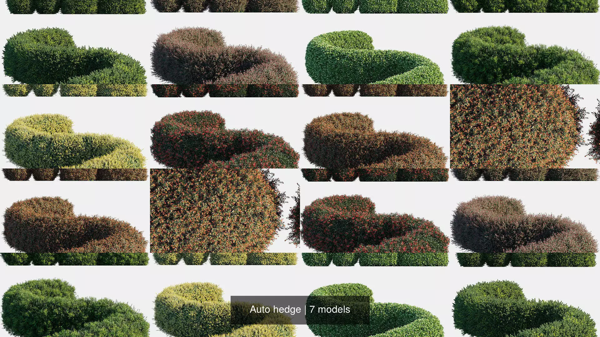Auto hedge 3D Model Collection_0