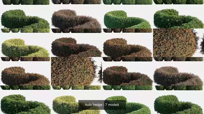 Auto hedge 3D Model Collection