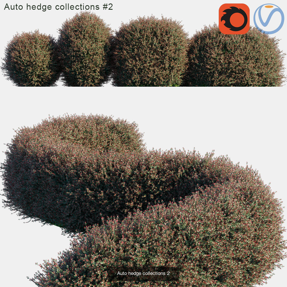 Auto hedge 3D Model Collection_2