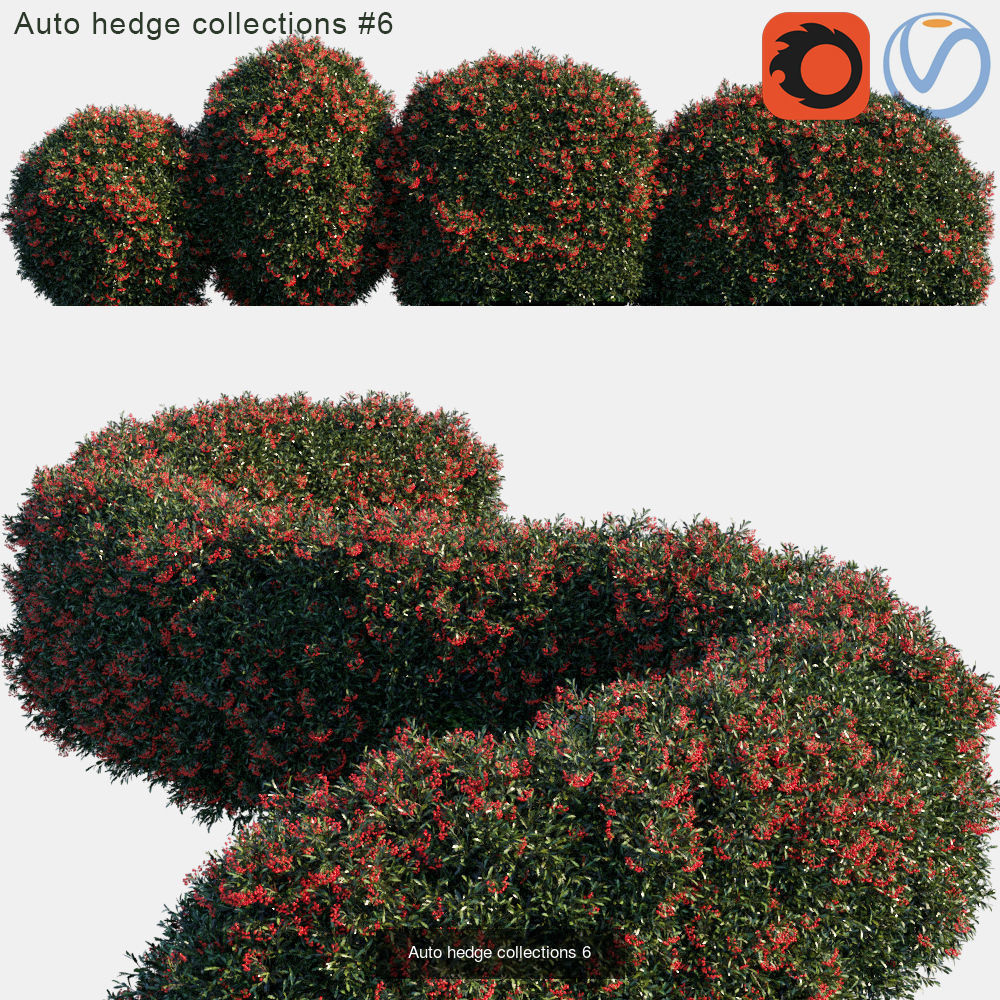 Auto hedge 3D Model Collection_6