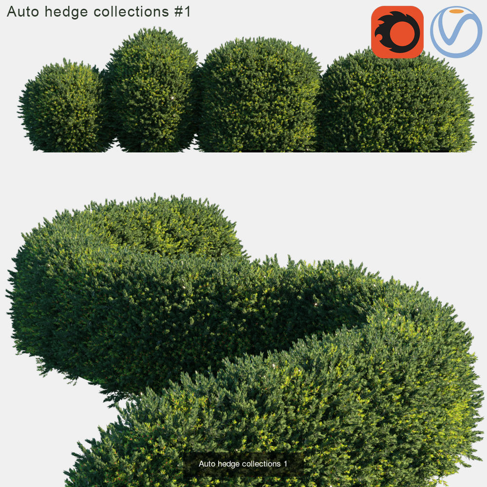 Auto hedge 3D Model Collection_1