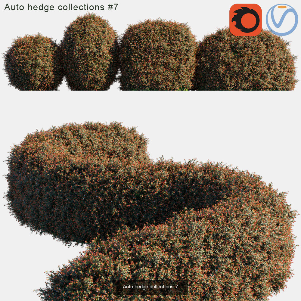 Auto hedge 3D Model Collection_7