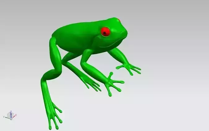 model frog 3D model