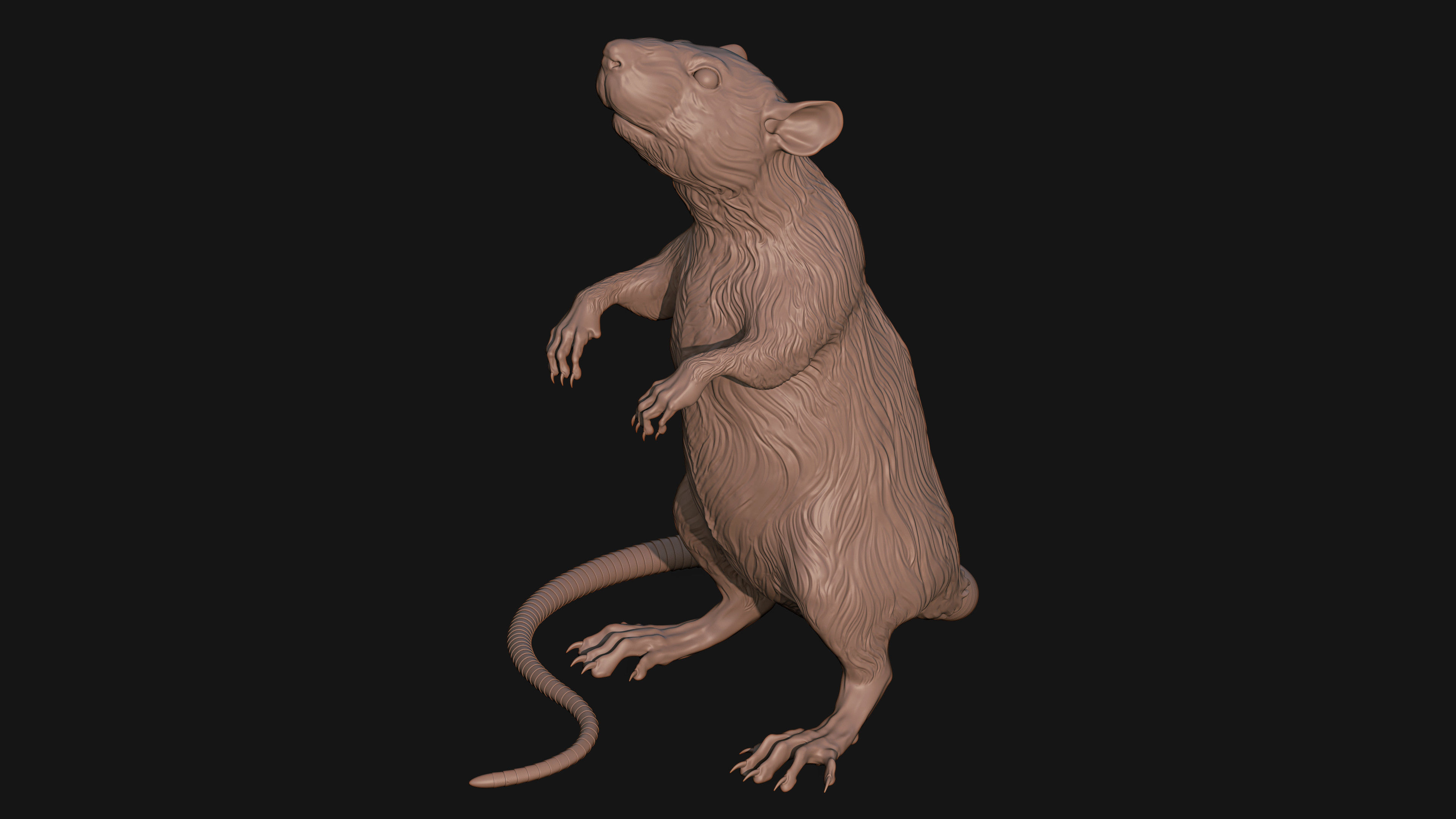 Rat sculpture 3D print model_0