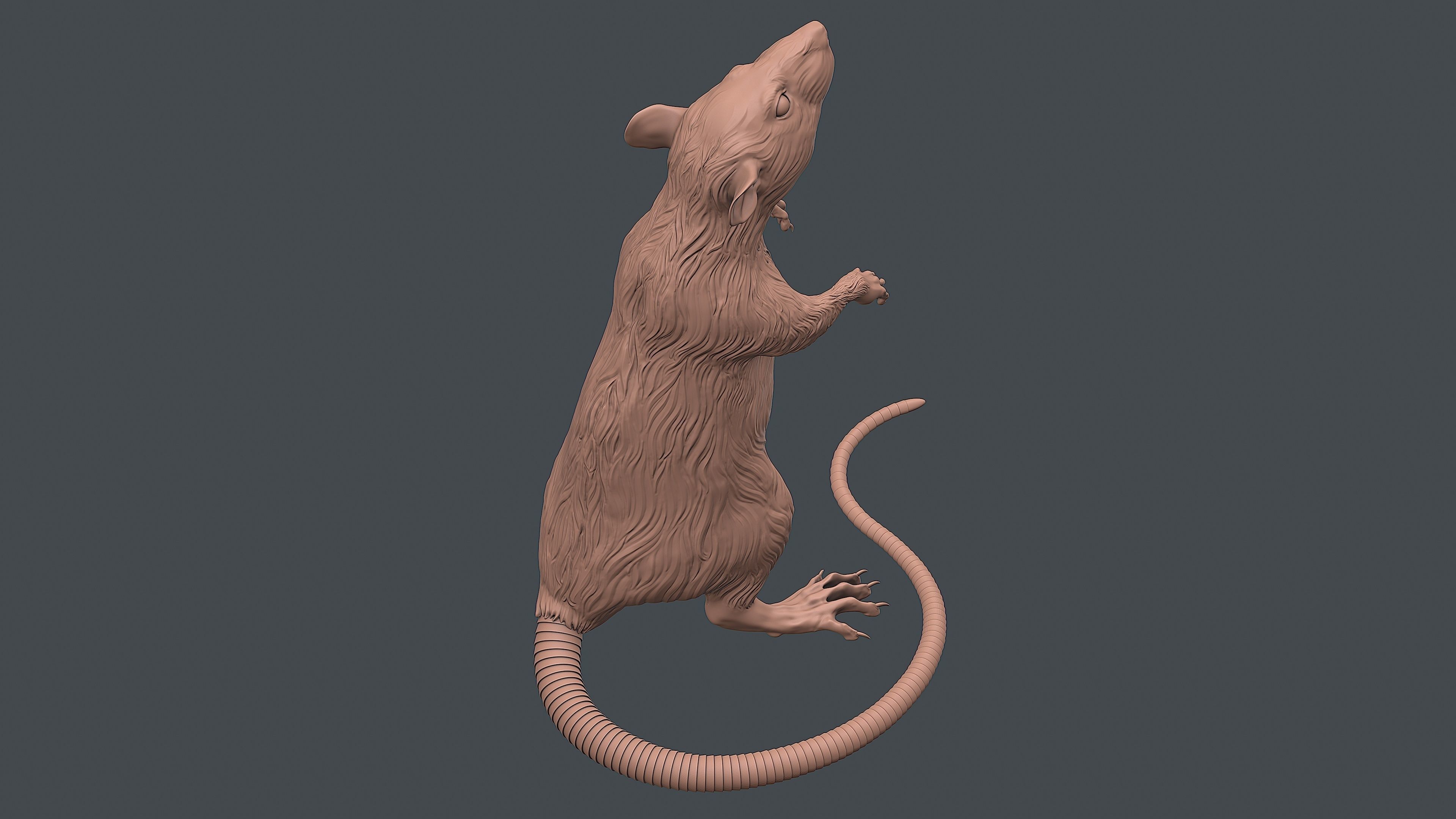 Rat sculpture 3D print model_6